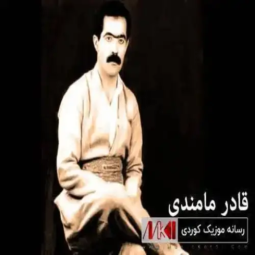 خال خانمی و خانمی